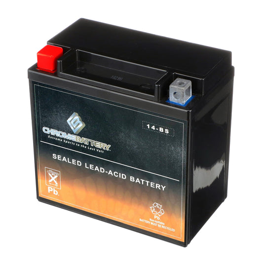 Versatile Ytx14-Bs High Performance - Maintenance Free - Sealed Agm Motorcycle Battery