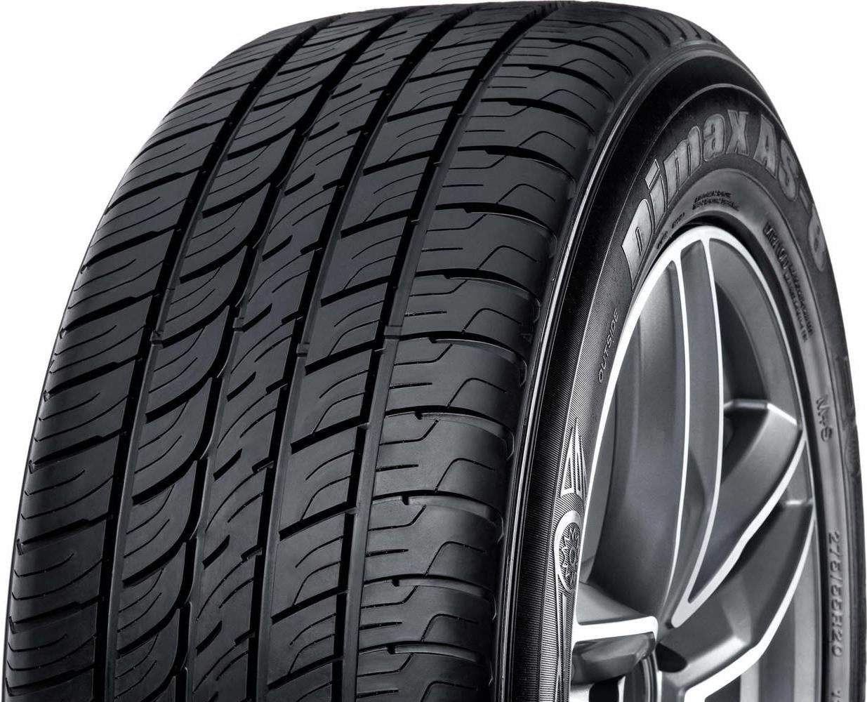 Versatile RADAR DIMAX AS-8 295/25R22 97Y ALL SEASON TIRE