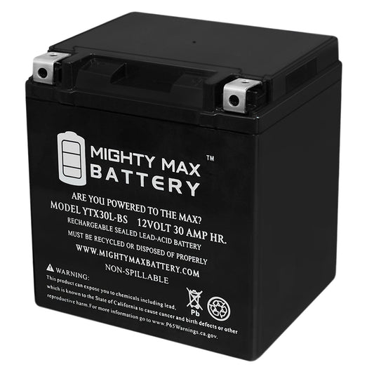 Versatile YTX30L-BS Battery for Harley Davidson Electra Glide Classic 2004